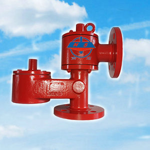 ���道排放式呼吔R��